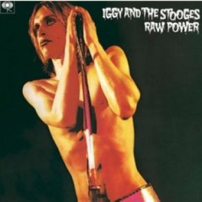 Download track Gimme Danger IggyThe Stooges