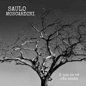 Download track O Que Se Vê Não Sente Saulo Moscardini