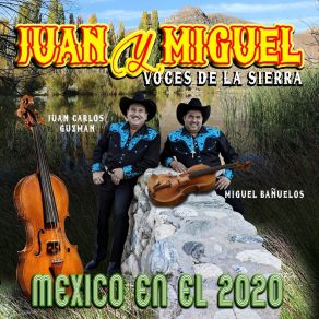 Download track Tu Delirio (Violin Y Tololoche) Miguel Voces De La Sierra