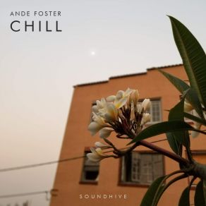 Download track Some Are Chill Ande Foster