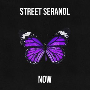 Download track Slow Walk Street Seranol