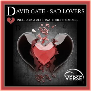 Download track Sad Lovers (AYK Remix) David Gates