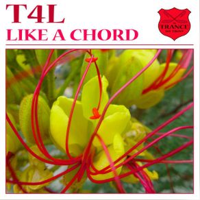 Download track Like A Chord (Paul Ercossa Remix) T4L