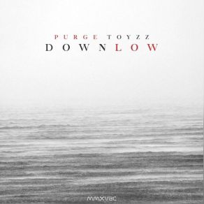 Download track Down Low Purge