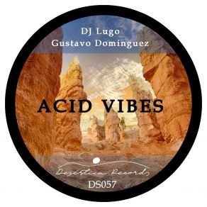 Download track Acid Vibes Gustavo Dominguez