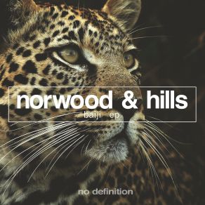 Download track Baiji (Original Club Mix) The Hills, Norwood