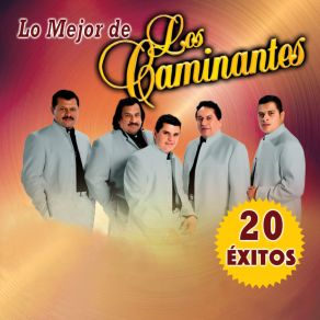 Download track La Guitarra Y La Mujer (En Vivo) Los Caminantes