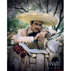 Download track DE QUE TE QUIERO.. TE QUIERO Vicente Fernández