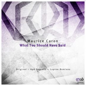 Download track What You Should Have Said (Original Mix) Maurice Caron