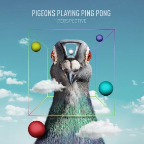 Download track Whirled Pigeons Playing Ping Pong