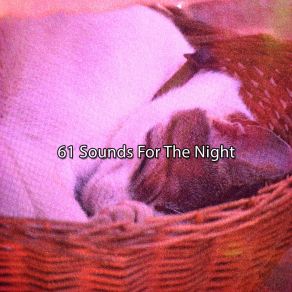 Download track Serene Bed Rest White Noise For Baby Sleep