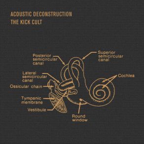 Download track Tympanic Membrane Acoustic Deconstruction