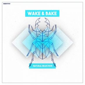 Download track The Mess WakeAndBake