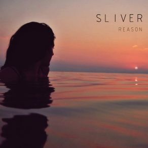 Download track Reason (Instrumental Version) Sliver