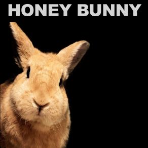 Download track Attraction (Dub Mix) Honey Bunny