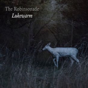 Download track Lukewarm The Robinsonade