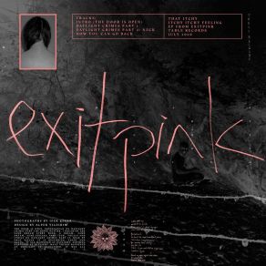 Download track Intro (The Door Is Open) Exitpink