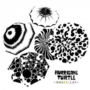 Download track Aa Hurricane Turtle