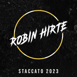 Download track Coming Home (2023 Mix) Robin Hirte