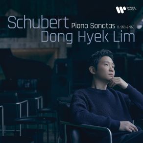 Download track 07. Piano Sonata No. 21 In B-Flat Major, D. 960 III. Scherzo Franz Schubert