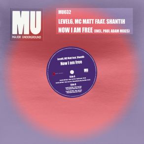 Download track Now I Am Free (Housedevice MaxSax Mix) Shantih