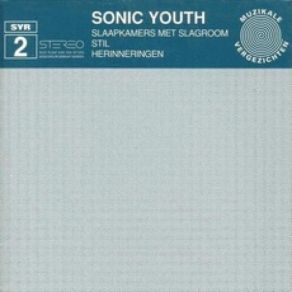 Download track Stil Sonic Youth