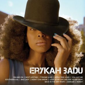 Download track Love Of My Life (An Ode To Hip Hop) Erykah BaduCommon