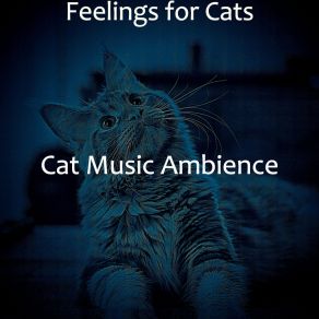 Download track Serene Music For Cute Cats Cat Music Ambience