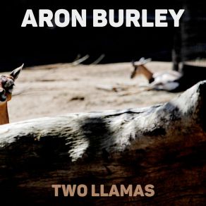 Download track The Moron's Nobody Aron Burley