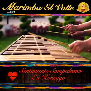 Download track Callecitas De San Marcos Marimba El Valle