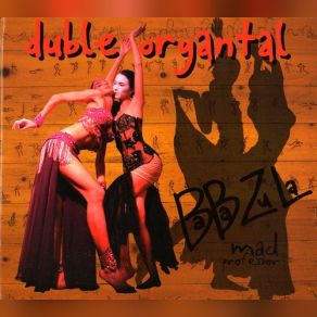 Download track Bir Sana Bir De Bana Baba Zula