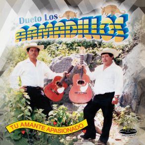 Download track Luisa Dueto Los Armadillos