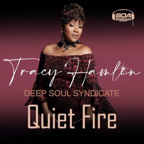 Download track Quiet Fire (Instrumental Mix) Deep Soul Syndicate