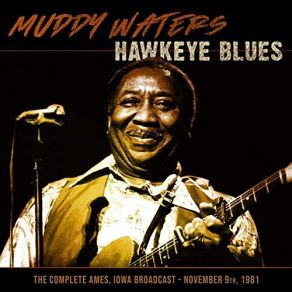 Download track Going Down Slow (Live 1981) Muddy Waters