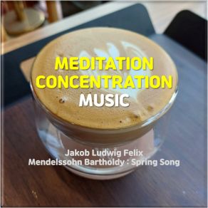 Download track Study Music With Me (Mendelssohn: Spring Song) Happy Birthday To You Song