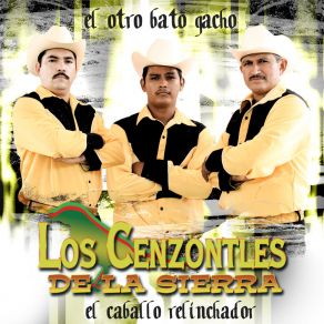 Download track Corrido De Los Amigos Los Cenzontles De La Sierra