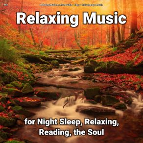 Download track Peaceful Music For Mindfulness Relaxing Spa Music