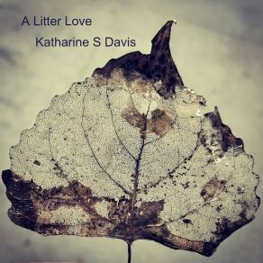 Download track Horizon Line Katharine S Davis