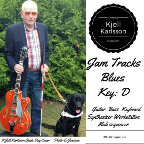 Download track Blues Jamtrack 10 Key D Kjell KarlssonThe Backing Tracks