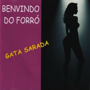 Download track A Punição Benvindo Do Forró