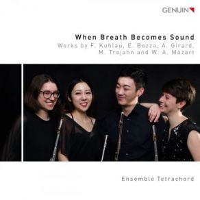 Download track Flute Quartet In E Minor, Op. 103: II. Scherzo. Allegro Assai' Ensemble Tetrachord