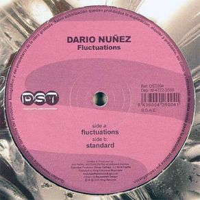 Download track Fluctuations Dario Nuñez