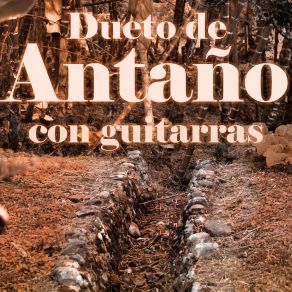 Download track No Tengo La Culpa Dueto De Antaño