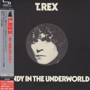 Download track Are You Ready, Steve? T. Rex, Marc Bolan