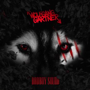 Download track Badboy Sound (Original Mix) Wolfgang Gartner