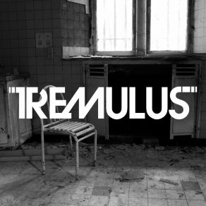 Download track Que Magico Fue TremuluS