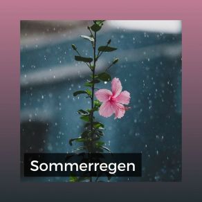 Download track Regen An Sommertagen Regen Zum Schlafen