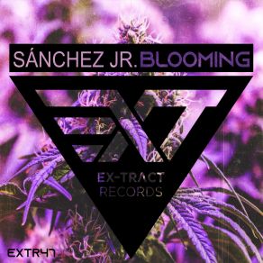 Download track Blooming (Original Mix) Junior Sanchez