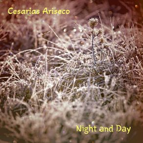 Download track Raining Day Cesarias Ariseco