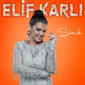 Download track Yanına Bırakmam Elif Karlı